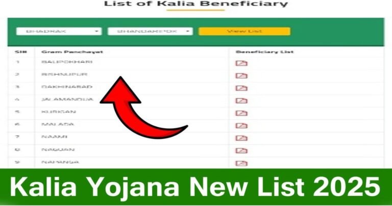 Kalia Yojana New List 2025