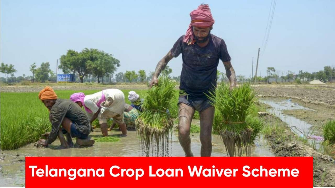 Telangana Crop Loan Waiver Scheme 2025